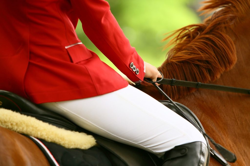 accessoires équitation enfant