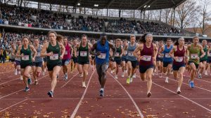 Des coureurs et des coureuses s’élancent au départ d’un marathon dans le Stade olympique historique d’Amsterdam, par un matin d’automne, devant des tribunes pleines.